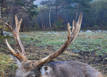 Северная Осетия (Алания), Три дня в Алании: горная Дигория