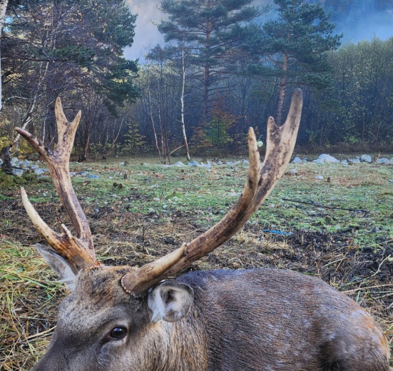 Северная Осетия (Алания), Три дня в Алании: горная Дигория