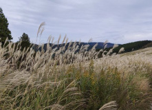 Япония, Каникулы в Японии для детей и взрослых