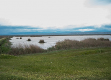 Дагестан, Дагестан глазами натуралиста
