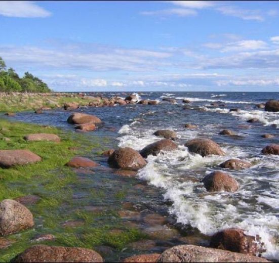 7 дней по островам и шхерам Выборгского залива на морских каяках (с лодкой сопровождения)