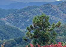 Япония, Каникулы в Японии для детей и взрослых