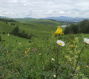Алтай, Дети в сердце Алтая