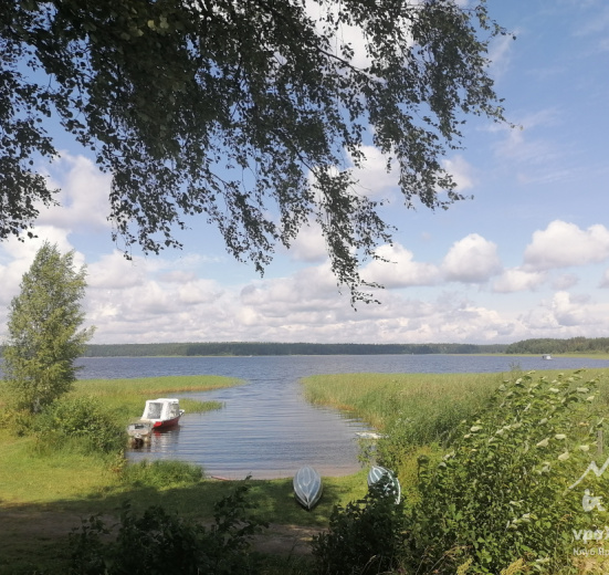 Подмосковье, Семейный лагерь с детьми на Селигере (Тверская область)