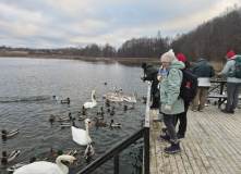 Северо-Запад, Изборско-Мальская долина (разведка)