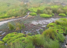 Камчатка, Камчатский вояж Лайт: шум океана и шёпот вулканов (комфорт-тур)