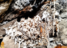 Кавказ, Осетия.Pro с проживанием в гостинице