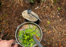 Подмосковье, English club в Мещере с ночевкой в приюте