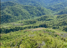 Кавказ, Сплав по реке Пшеха [Кавказ]