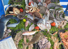 Марокко, Все цвета королевства контрастов