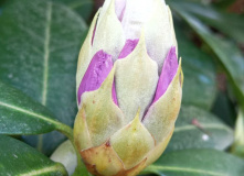 Абхазия, Восточная Абхазия: города-призраки