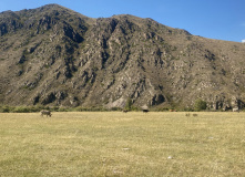 Казахстан, Казахстанский Алтай: мультитур по рекам Берель и Бахтарма