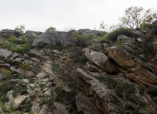 Дагестан, Дагестан глазами натуралиста