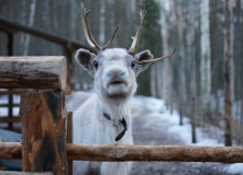 Карелия, Легенды мистической горы Воттаваара