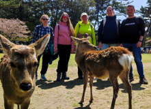 Япония, Японская кругосветка