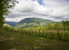 Грузия, Лучшие реки Грузии: родео-тур на байдарках