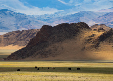 Монголия, Автотур «Неизведанная Монголия»