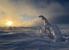 Урал, В самое сердце Северного Урала: на плато Маньпупунер