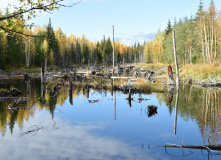 Карелия, Поход к водопадам Белые мосты (Юканкоски)