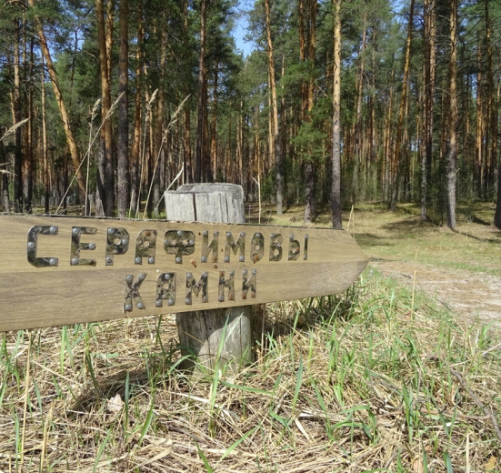 Ядерный поход