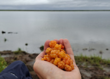 Урал, Полярный Урал. Сплав по рекам Нияю, Большая Уса и Уса