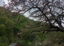 Фотографии из похода по Арагви 2025 года