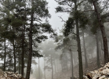 Турция, По горам центральной части Ликийской тропы