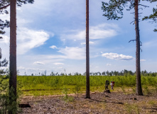 Подмосковье, Шёпот мещёрских лесов да гладь озёр