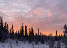Карелия, По следам на снегу: Северная Карелия на снегоходах и лыжах с детьми