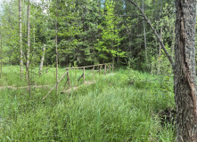 Северо-Запад, Царство болот: красоты Полистовского заповедника (разведка)
