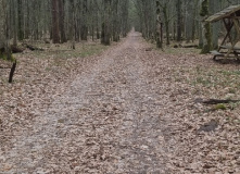 Беларусь, Страна замков: Беларусь на неделю