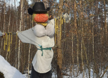 Подмосковье, Однодневный пеший поход English club - Goodbye, зима!