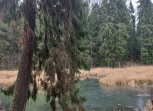 Подмосковье, Пеший поход «отМорозки»