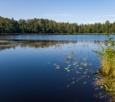 Подмосковье, Пеший поход «Бодрый моцион» (поход-разведка)