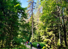 Подмосковье, Лесной лагерь с детьми на Валдае (Новгородская область)