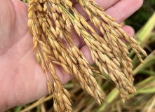 Китай, Живописная палитра Китая: из глубинки провинции к золотым пляжам (разведка)