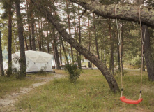 Алтай, Конный лагерь на Алтае с детьми