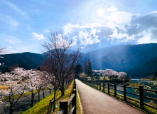 Япония, Японская кругосветка