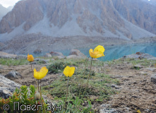 Киргизия, Красоты Алайского хребта. Спортивный поход 1-вой категории сложности