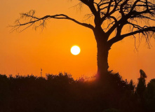 Турция, FAMILY CAMP "Семейный лагерь в Чиральской бухте"