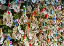 Япония, Осень у подножия Фудзиямы