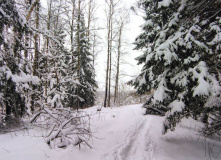 Подмосковье, Кругами к Зосимовой пустыни (с элементами разведки)