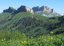 Кавказ, Природный Парк Большой Тхач [Кавказ]