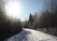 Подмосковье, Лыжный однодневный поход «Тайны урочища Тёплое»