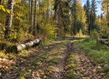 Подмосковье, Код Гжели: От дикого леса к фарфору - поход с тёплой ночевкой