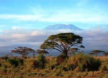 Танзания, Килиманджаро (Танзания) - Восхождение на Килиманджаро