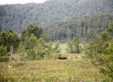 Камчатка, Камчатские каникулы: семейный поход в долину Налычево