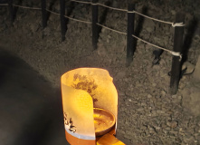 Япония, Каникулы в Японии для детей и взрослых