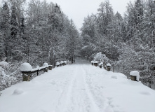 Подмосковье, Однодневный поход «English club в усадьбе Середниково»