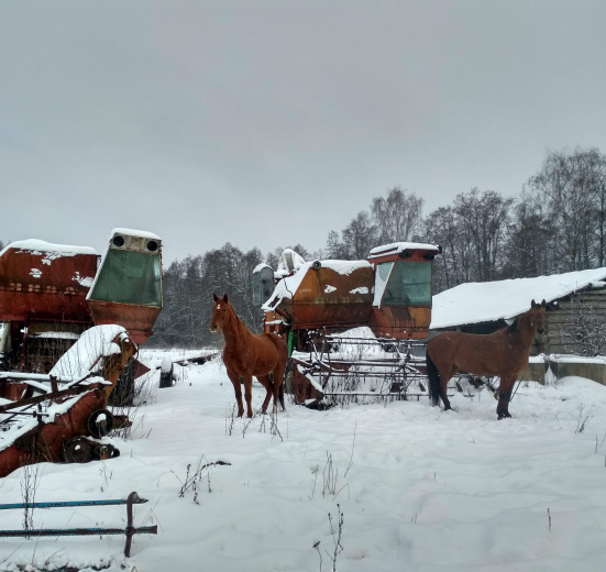Подмосковье, Однодневный пеший поход - Подмосковные Кижи
